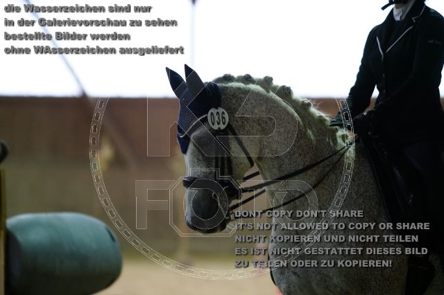 s_K3F07067.JPG